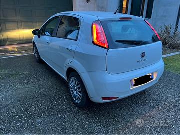Fiat punto 2013 NEOPATENTATI