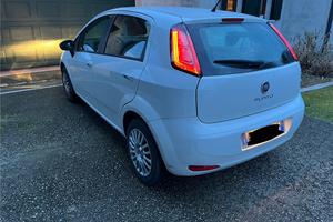 Fiat punto 2013 NEOPATENTATI