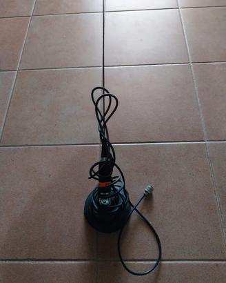 antenna 