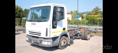 IVECO 65E16 anno 2007 a telaio passo 3105 