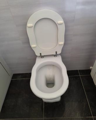 Sanitari bagno (wc, lavabo)