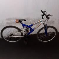 Biciletta ruota sgonfia