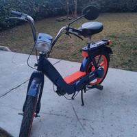 Ciao px a variatore del 81