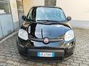 fiat-panda-1-0-firefly-s-s-hybrid-70cv-08-2023