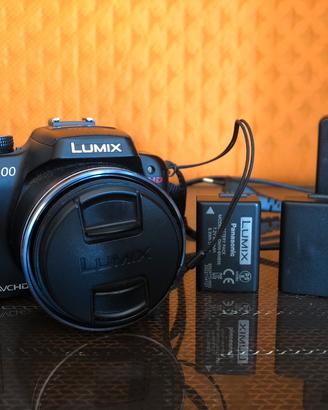 Panasonic Lumix FZ100