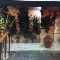 X Studenti Palazzo signorile DAVANTI A UNIVERSITÀ