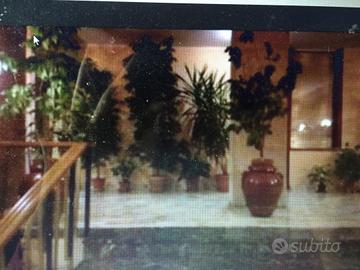 X Studenti Palazzo signorile DAVANTI A UNIVERSITÀ