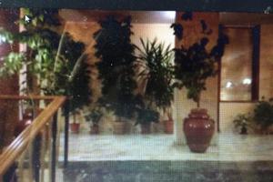 X Studenti Palazzo signorile DAVANTI A UNIVERSITÀ