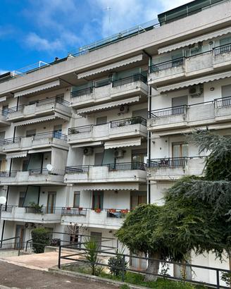 Spazioso luminoso caldo e silenzioso 80mq +40 gara