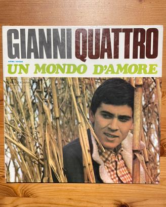 Disco Vinile