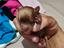 Immagine 2
