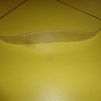 mascherina Ferrari F.1