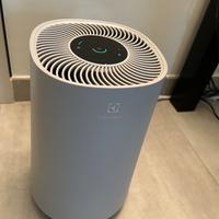 Purificatore d’aria Electrolux Flow 300