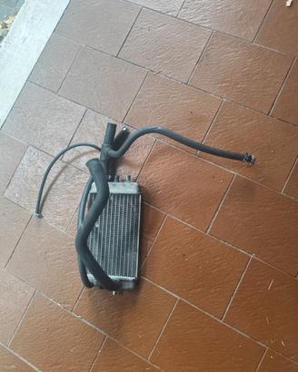 radiatore Aprilia sx 50 