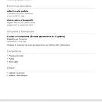 Auto cuoco/lavapiatti/cameriere