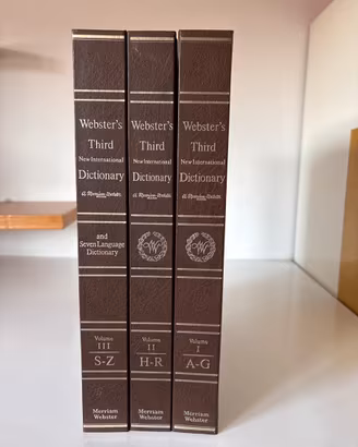 Dizionario inglese Webster’s