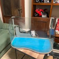 Acquario per pesci e tartarughe