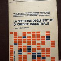 Gestione istituti credito industriale