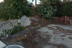 V/1399 Terreno in zona centrale