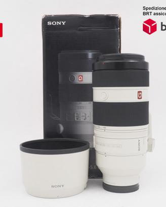Sony FE 100-400 F4.5 GM OSS (Sony)
