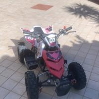 Mini quad af motor