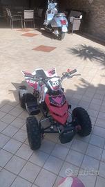 Mini quad af motor