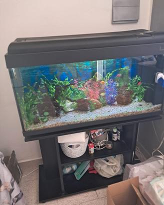 acquario di 300 litri completo di tutto e pesci co