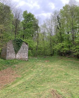 RUSTICO IN PIETRA - quiete e natura!