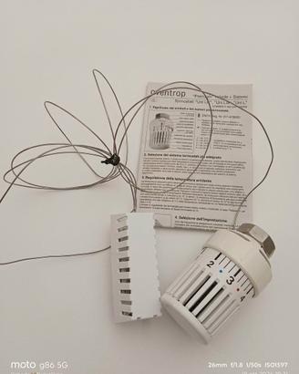 Termostato Valvola con sonda 