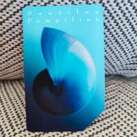 scheda telefonica Telecom 