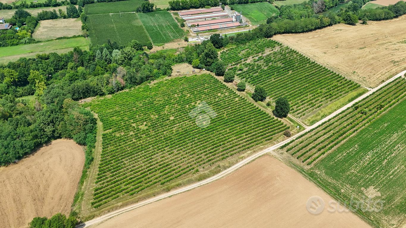 TER. AGRICOLO A CALVAGESE DELLA RIVIERA - Vista 5