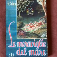 Le meraviglie del mare - G. Colosi - 1952