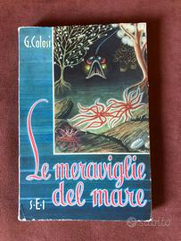 Le meraviglie del mare - G. Colosi - 1952