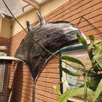 decorazioni pesci di carta fatti e dipinti a mano 