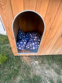 cuccia grande per cani (prezzo trattabile)