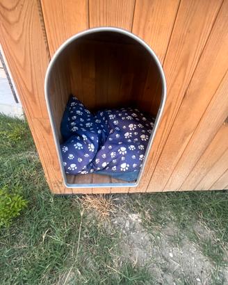 cuccia grande per cani (prezzo trattabile)
