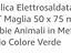 Immagine 6