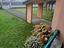 Immagine 14