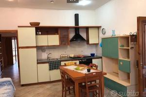 Appartamento Cetraro Paese 100 m centro 2km mare