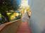 Immagine 19