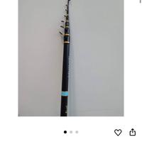 Canna da pesca Daiwa spitfire + mulinello Daiwa