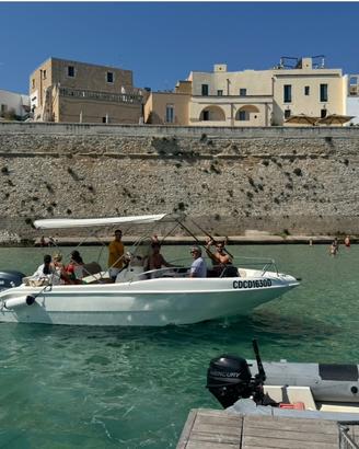 O. C. C. A. S.  I.  O.  N. E.