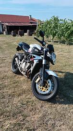 MV Agusta Brutale 910R