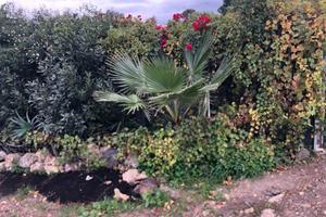 Terreno agricolo Ramacca a 2 min dal centro