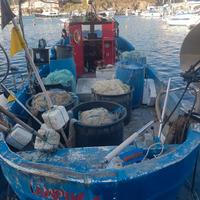 Barca da pesca con licenza 2 gt