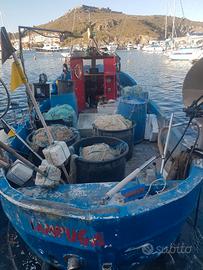 Barca da pesca con licenza 2 gt
