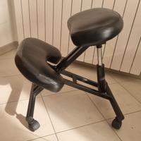 Sedia ergonomica 