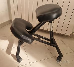 Sedia ergonomica 