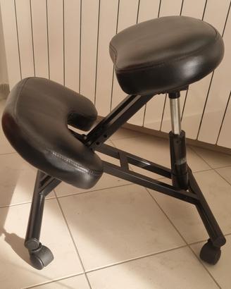 Sedia ergonomica 