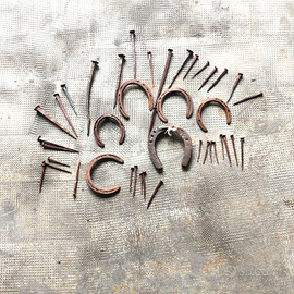 Ferri e chiodi per cavallo